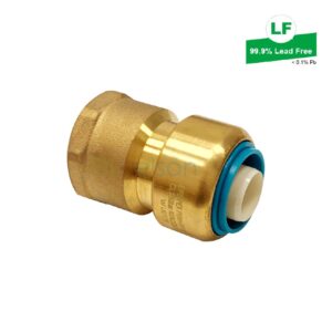 EPS PEX PUSH-FIT NO.2 STRAIGHT CONNECTOR LEAD FREE BRASS 20mm x 20mm FI